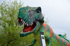 irmgard_abano _carneval_08