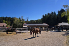 DSC00029_2