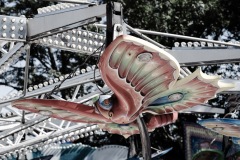 boehmischer-prater-104