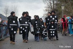 12fasching_2020_johann-11