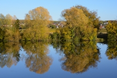 herbst_ernst_02