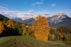 herbst_ernst_03