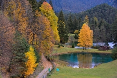 herbst_ernst_05