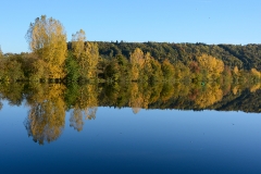 herbst_ernst_06