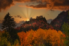 herbst_ernst_08