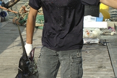 KONICA MINOLTA DIGITAL CAMERA