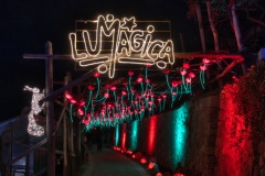 lumagica_meran101