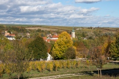 niedersulz-115