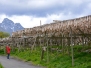 STOCKFISCHE IN NORWEGEN