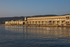 Triest-1031
