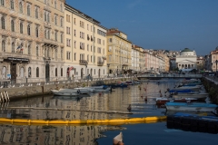 Triest-1039