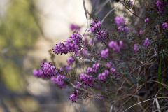 ErnstP_Ehnbachklamm04