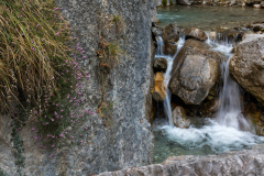 ErnstP_Ehnbachklamm05