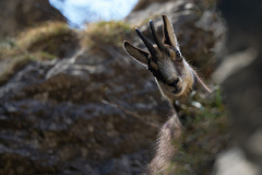 ErnstP_Ehnbachklamm06