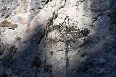 ErnstP_Ehnbachklamm10