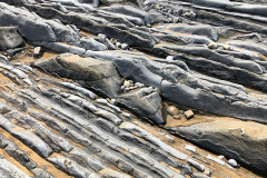 flysch_luise106