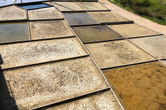 flysch_luise113
