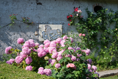 isola_garda-104