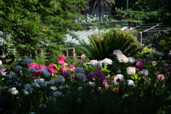 isola_garda-106