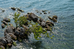 isola_garda-115