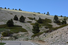 Ventoux005
