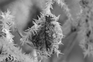 WINTERZAUBER IN INZING