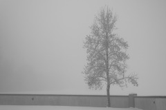 s_nebel-110