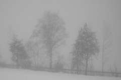 s_nebel-111